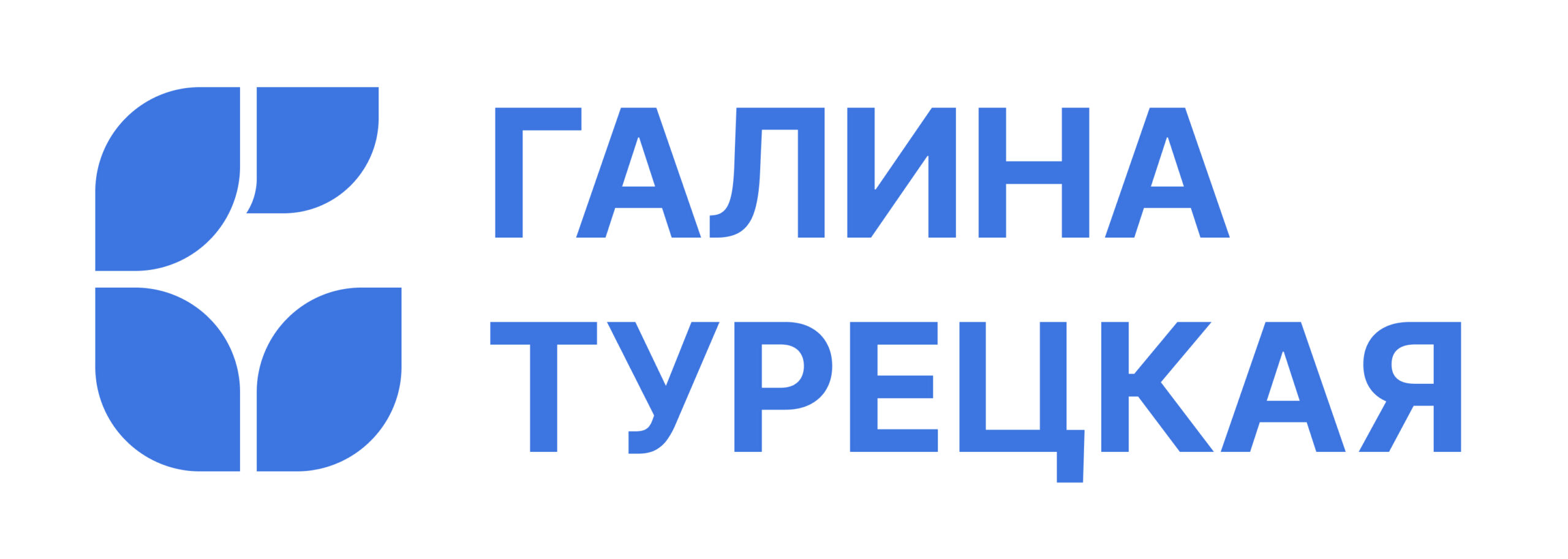 ИНДИВИДУАЛЬНЫЙ ПРЕДПРИНИМАТЕЛЬ ТУРЕЦКАЯ ГАЛИНА ВИТАЛЬЕВНА
